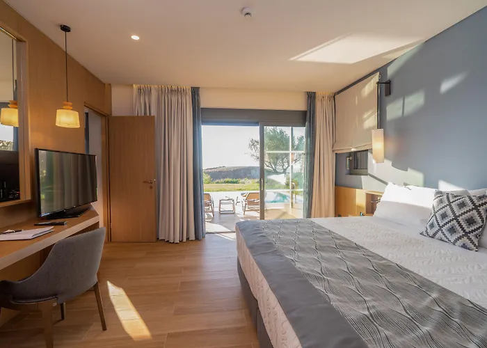 فندق Apollonion Asterias And Paliki